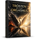 Trösten bis zum Orgasmus - Buch von Ronald Lilleg-Staudenherz, illustriertes Cover mit einem Schwan zwischen Hell und Dunkel, Untergang und Auferstehung
