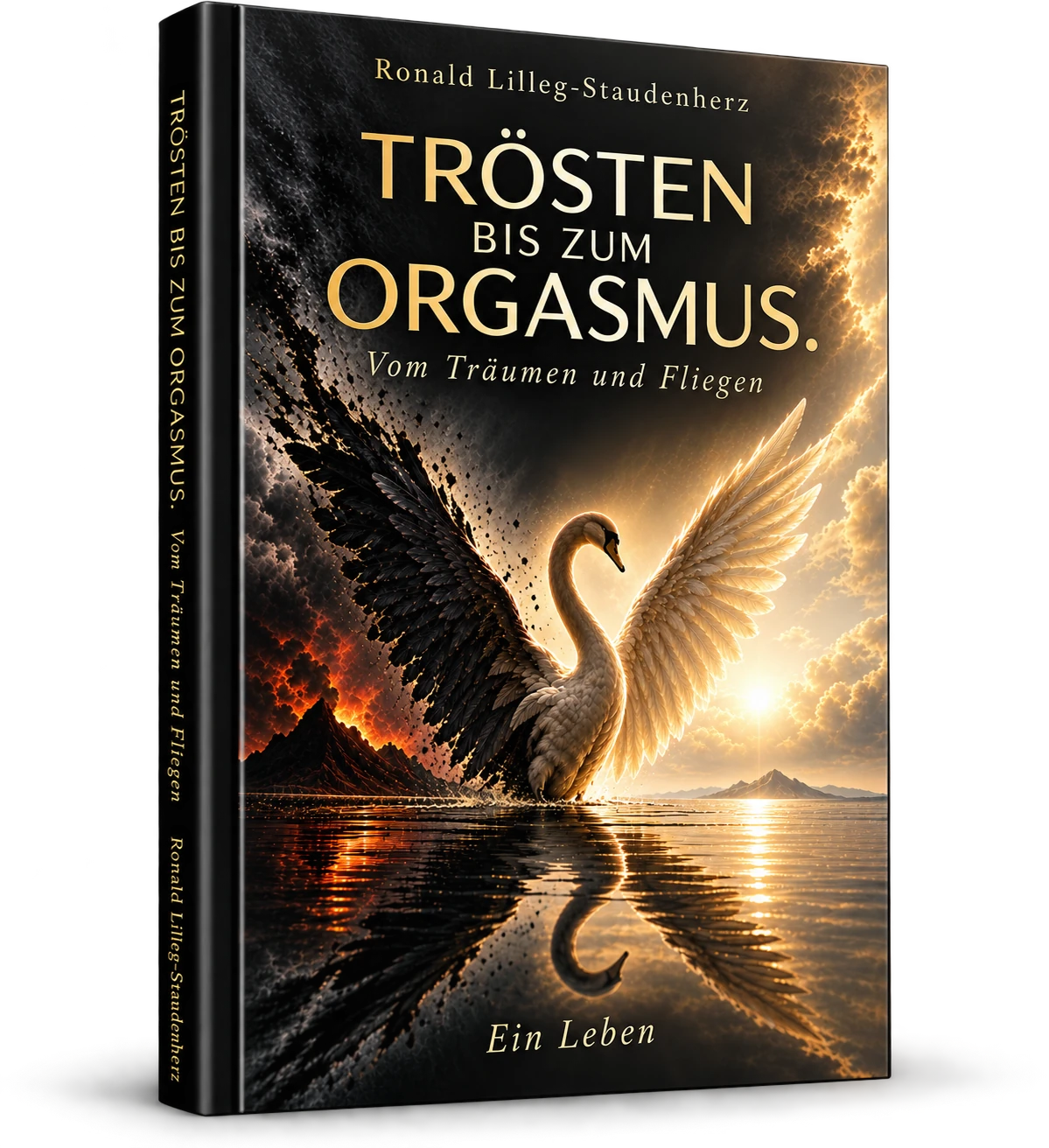 Trösten bis zum Orgasmus - Buch von Ronald Lilleg-Staudenherz, illustriertes Cover mit einem Schwan zwischen Hell und Dunkel, Untergang und Auferstehung